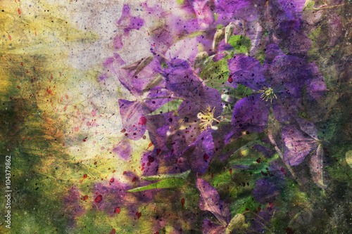 artwork with clematis flowers