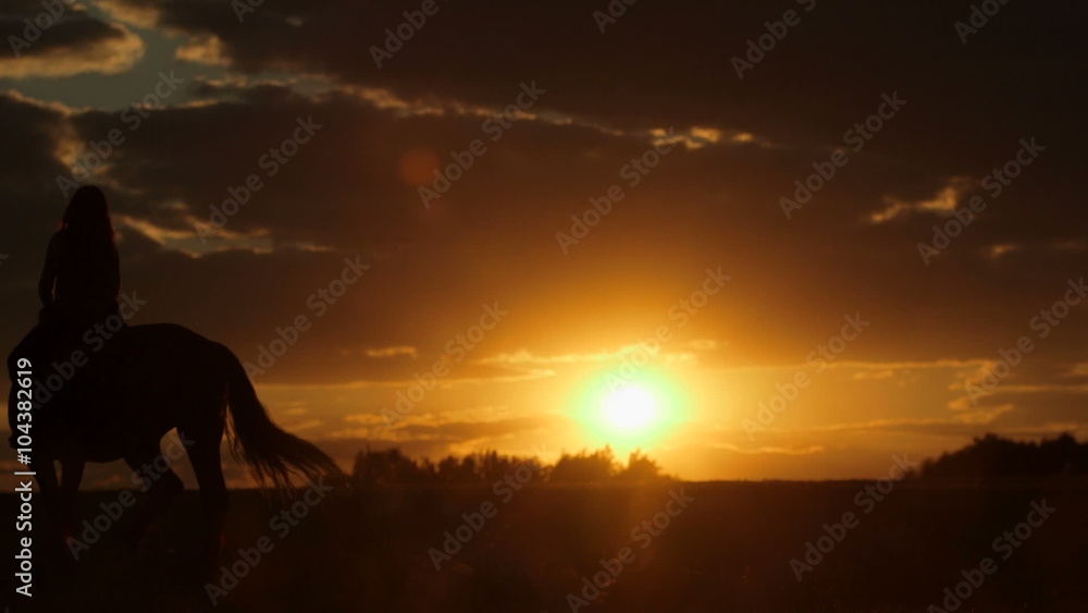 Young woman riding horse into bright sunset. Beautiful Young woman riding horse into amazing sunset
