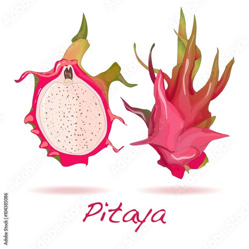 Pitaya or Dragon Fruit. Vector