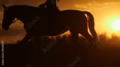 Young woman riding horse into bright sunset. Beautiful Young woman riding horse into amazing sunset
