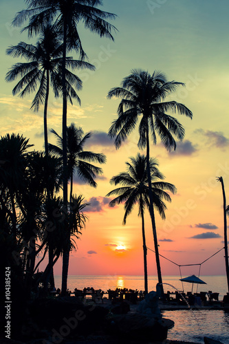 Palm trees silhouettes at tropical coast during an amazing sunset. © De Visu