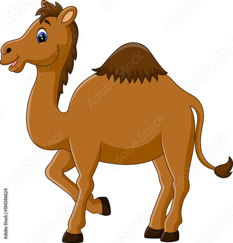 Illustration of cute funny camel