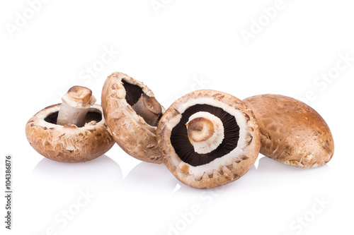 portobello mushrooms isolated on white background