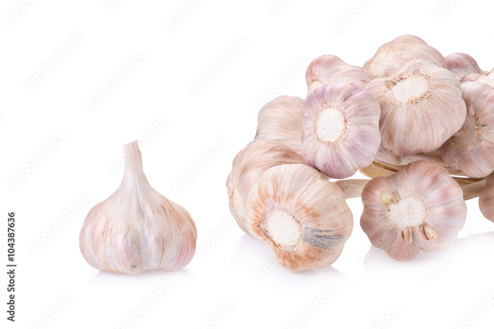 Garlic isolated on white background Garlic isolated on white background
