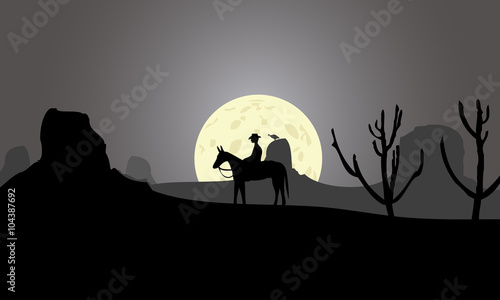 cowboy desert