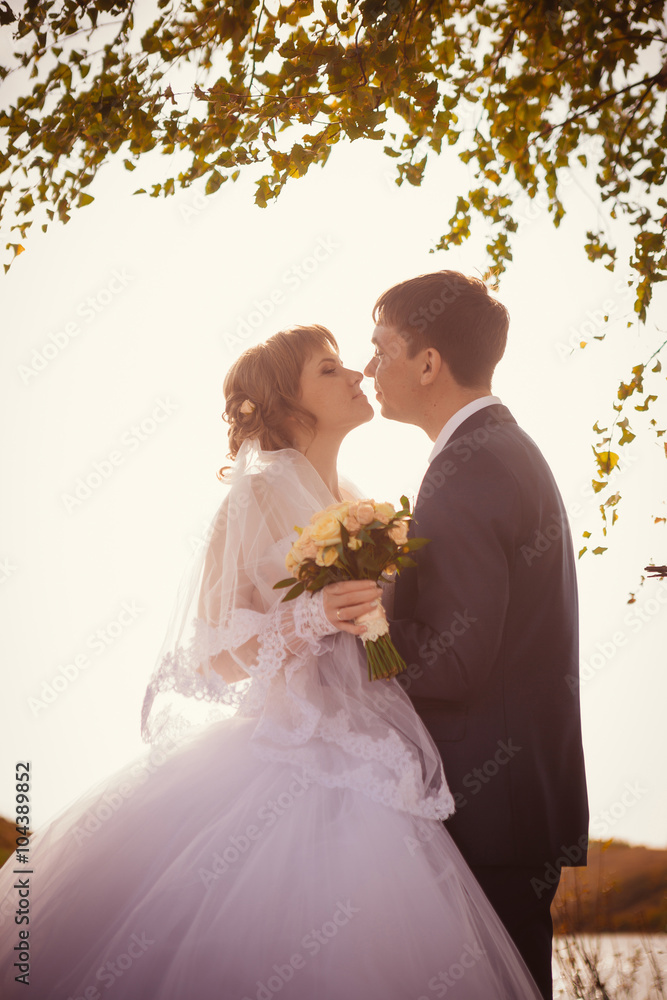young bride and groom on the background of lake young bride and groom on the background of lake