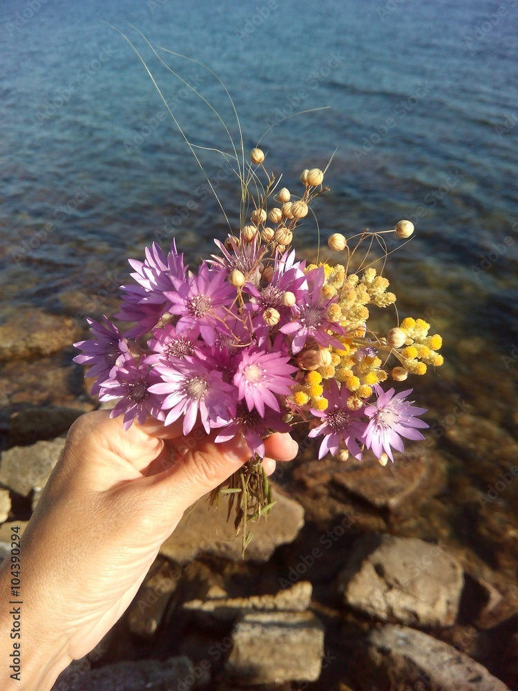 Букет степных цветов в руке на фоне моря и камней фотография Stock | Adobe  Stock