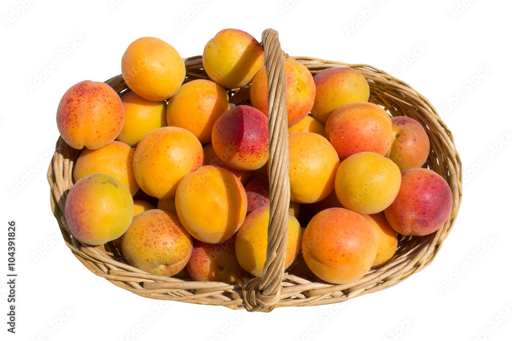 basket apricot view overhead basket apricot view overhead