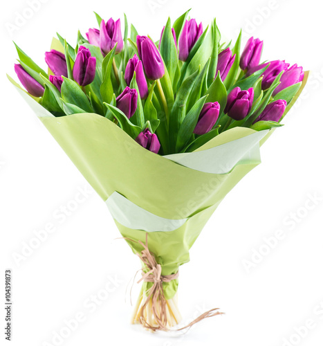 Fototapeta Naklejka Na Ścianę i Meble -  bouquet of 25 purple tulips, isolated on white background, shall