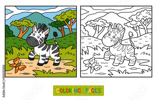 Coloring book (Zebra and background)