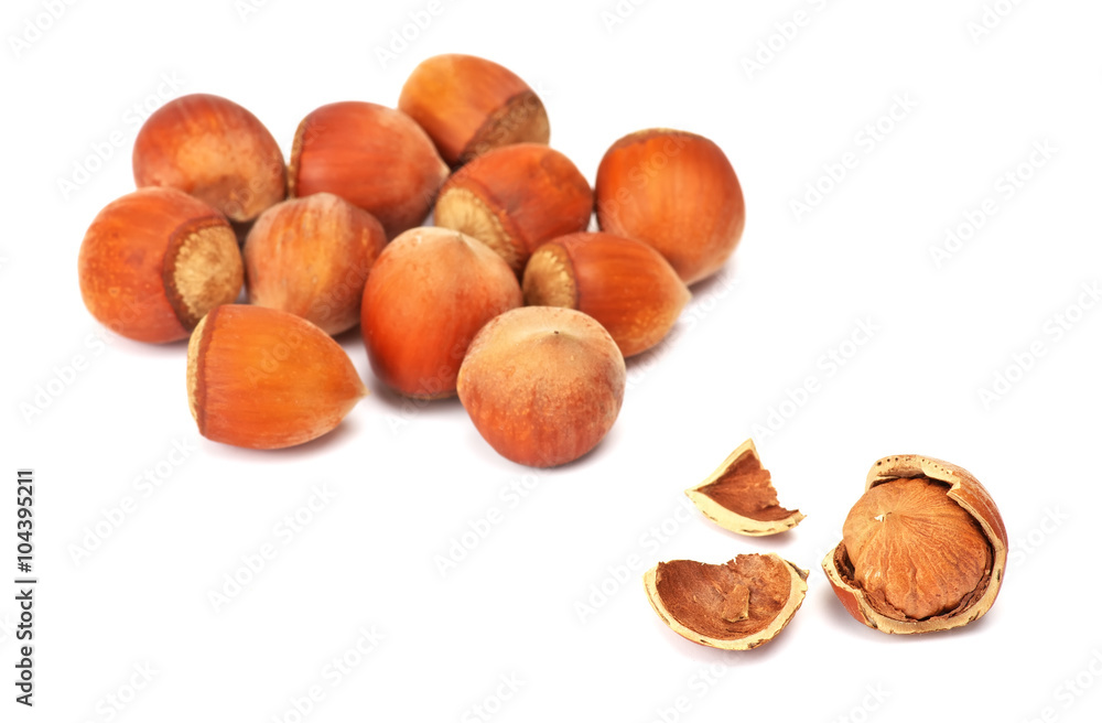 Hazelnut or filbert nut isolated on white background. Hazelnut or filbert nut isolated on white background.