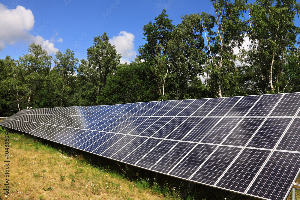 Detail of Solar Power Station on the Meadow 