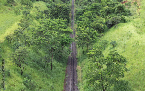 Train track in the forest - Brazil