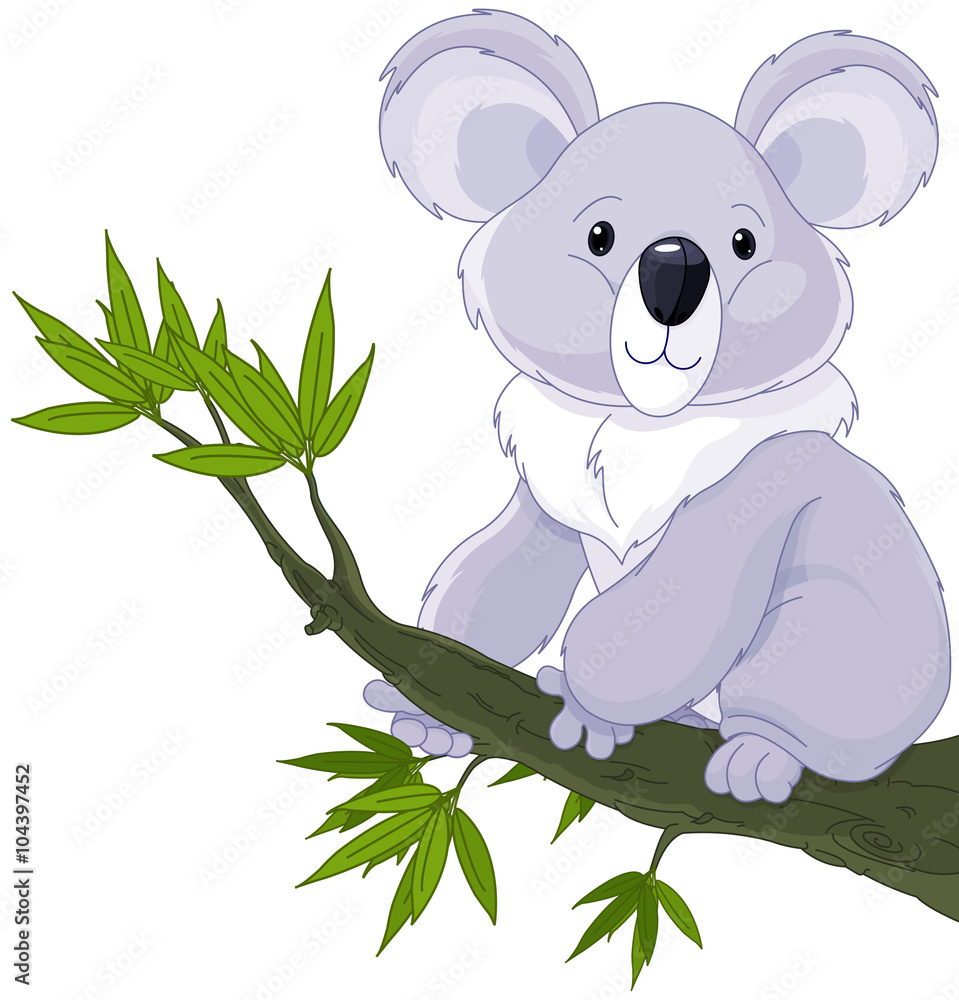 Naklejka premium Koala on a Tree