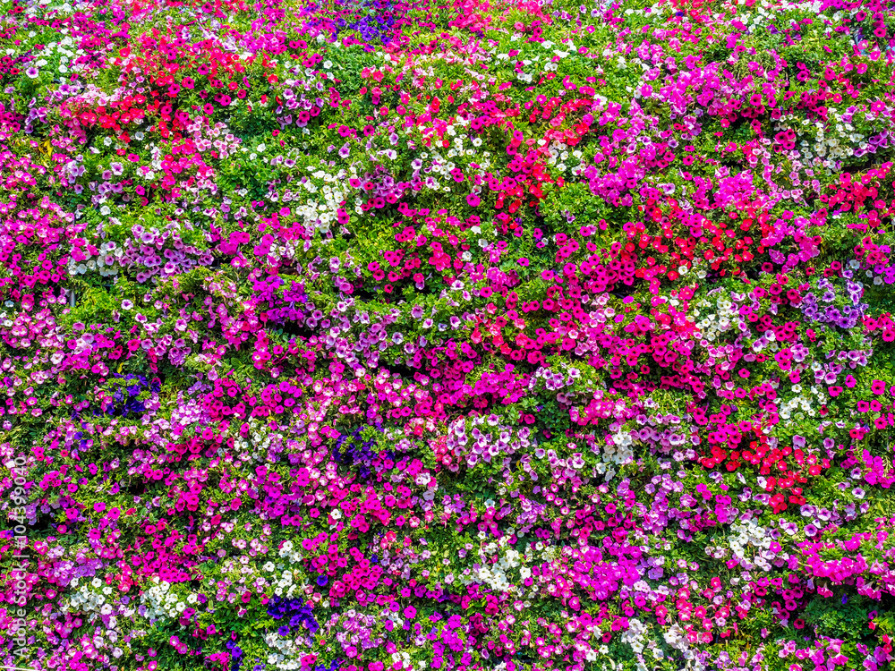 full decorated wall with the colorful fresh flowers