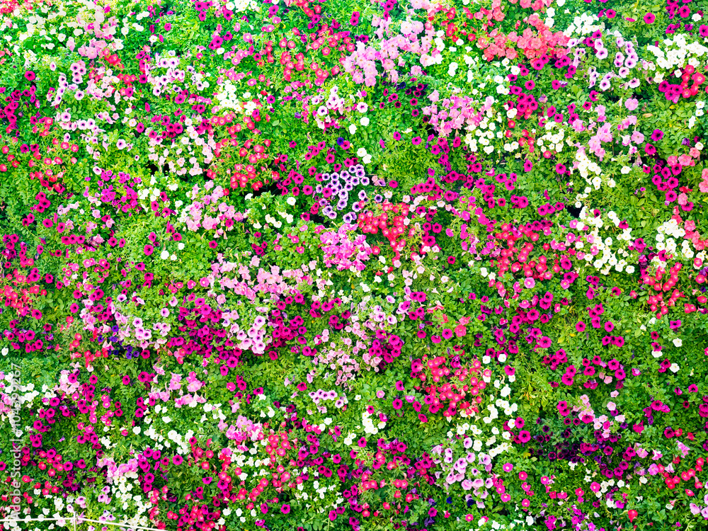full decorated wall with the colorful fresh flowers