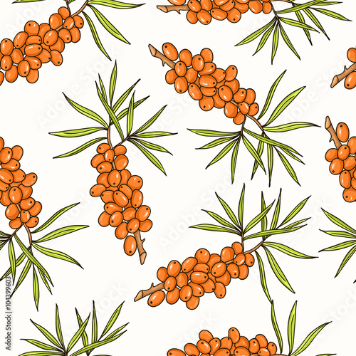 Sea-buckthorn seamless pattern. Collection of berries.