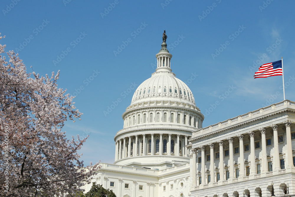 Fototapeta premium Capitol Building U.S. Congress