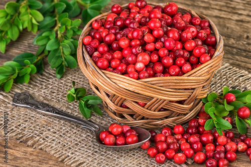 Cranberries basket