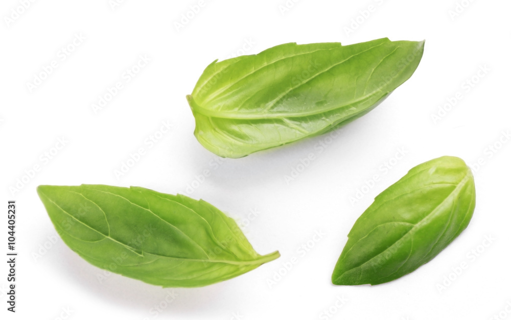 Fresh basis leaves isolated on white Fresh basis leaves isolated on white