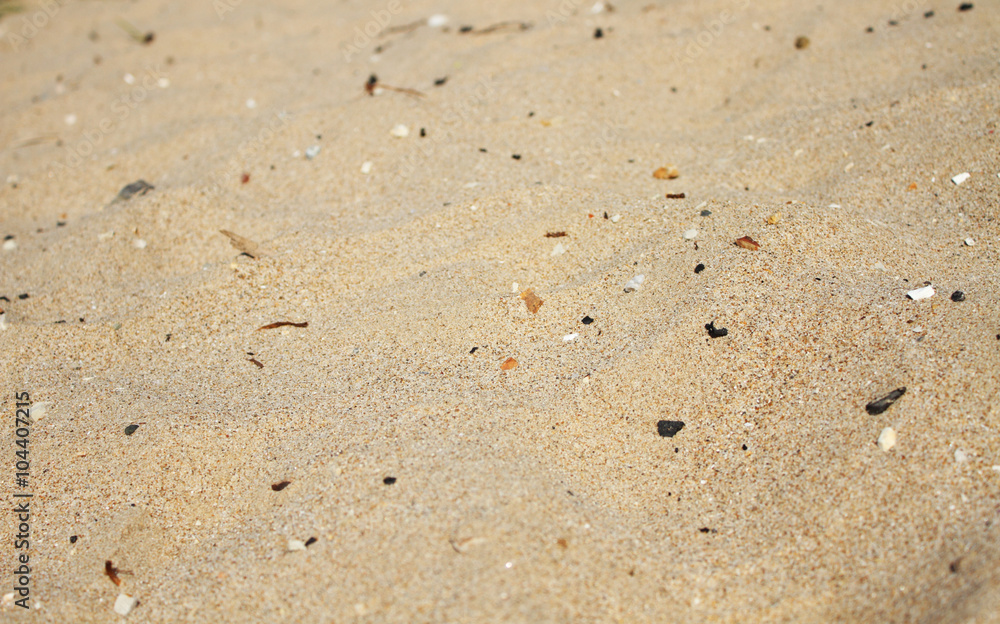 砂浜 砂浜