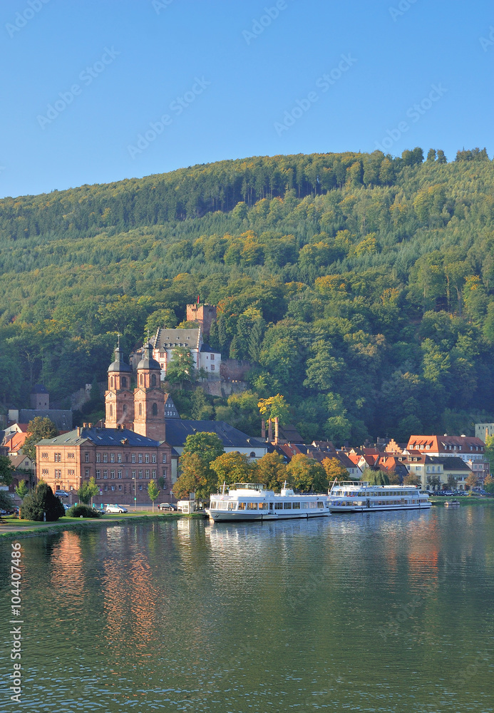 Fototapeta premium Blick auf Miltenberg am Main in Unterfranken,Bayern,Deutschland