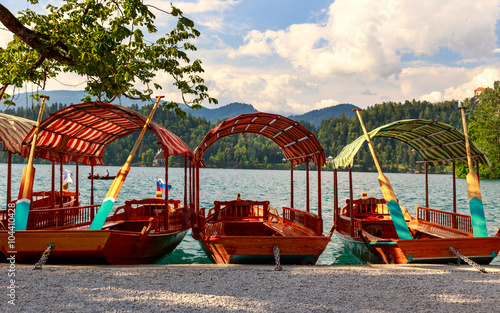 Wallpaper Mural Traditional wooden boats Pletna on lake Bled Torontodigital.ca