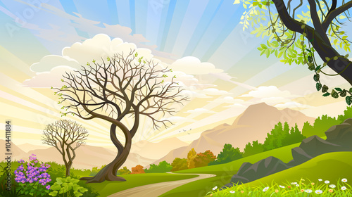 Beautiful trees in a magical forest
