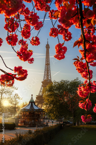 Eiffel Tower with spring tree in Paris, France © Tomas Marek