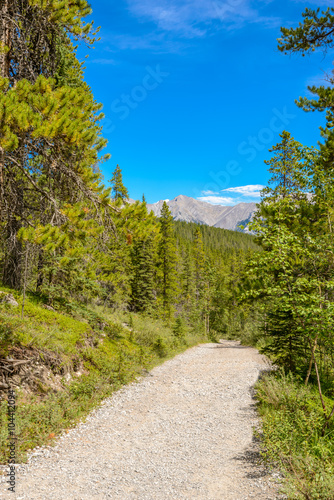 Fragment of Grassi Lakes trail in Banff, Alberta, Canada