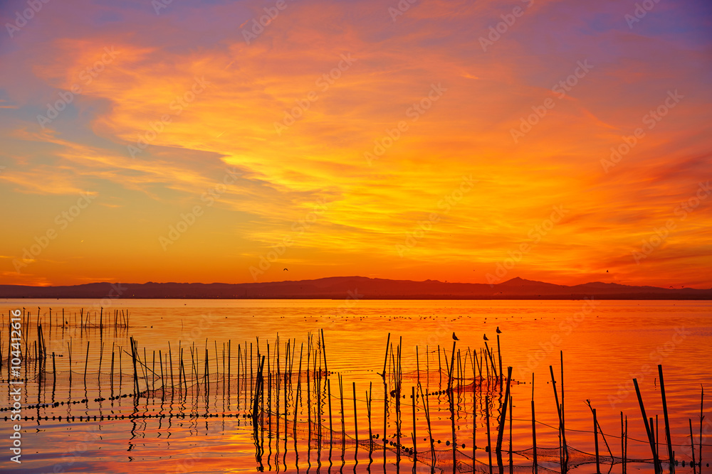 La Albufera lake sunset in El Saler of Valencia