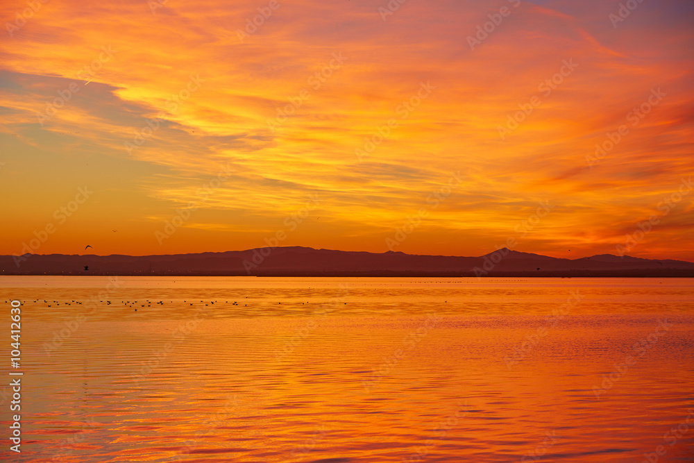 La Albufera lake sunset in El Saler of Valencia