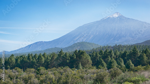 Forest in lowland El Teide