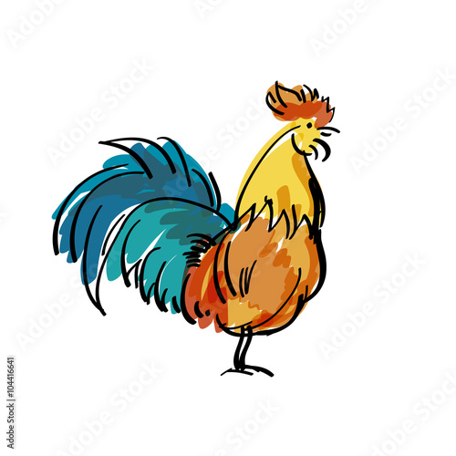 colorfull rooster vector illustration