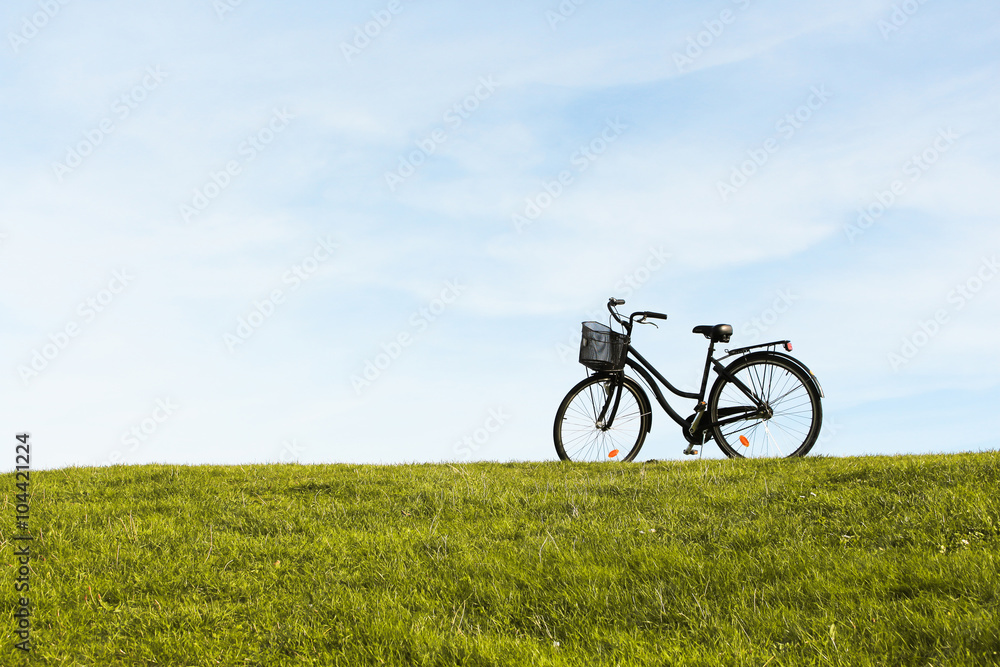 Bicycle In Meadow