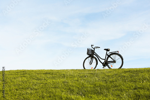 Bicycle In Meadow