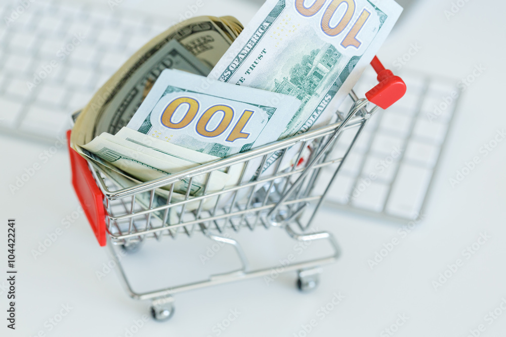 Dollars in the shopping cart - concept of online shopping