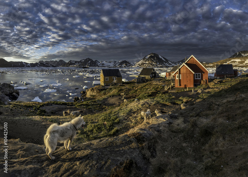 Greenland, Schweizerland, Kulusuk, houses and dogs photo