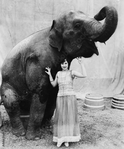 Photography Portrait of a young woman standing under an elephant