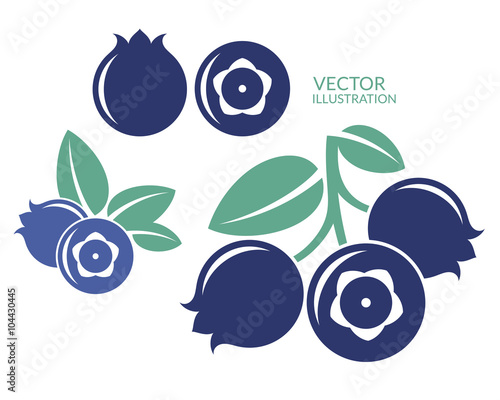 Tablou canvas Blueberry. Icon set
