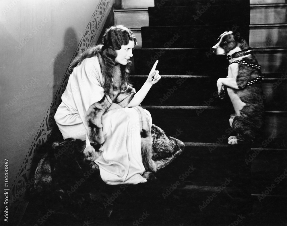 Obraz premium Woman scolding dog on stairs 
