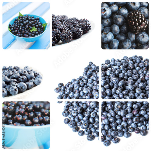 Collage of different blue berries.