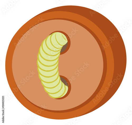 The figure eight decorated flower kosmeyaai