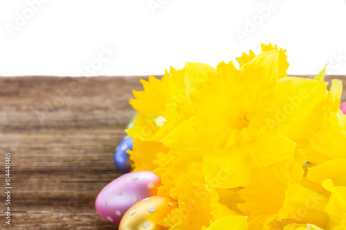 spring narcissus with eggs