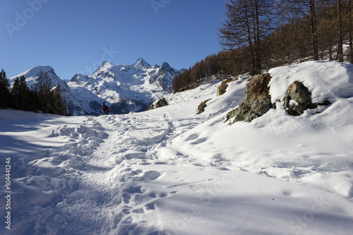 Snowshoeing in Aosta valley photo