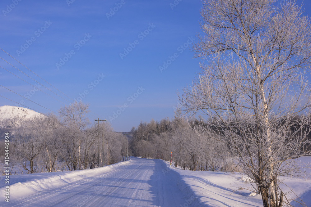 Obraz premium 霧氷と雪道