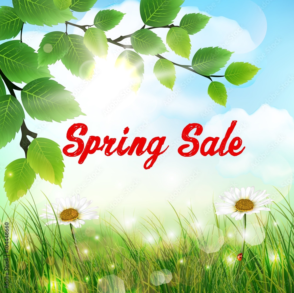 Fototapeta premium Natural background with word spring sale