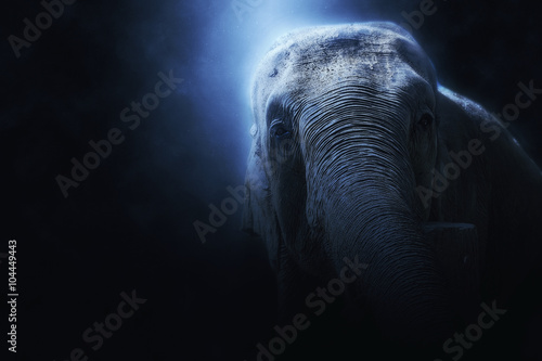 Photography photo manipulation of a wild elephant in Sri Lanka