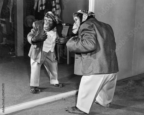 Принти на полотні Chimpanzee in a jacket and trousers in front of a mirror