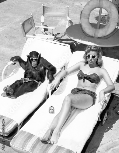 Obraz na plátne Chimpanzee and a woman sunbathing